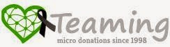 Teaming: Solidaridad por un euro al mes