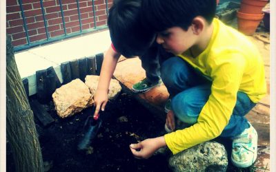 ¡Nuestros ganadores ya han plantado las semillas!